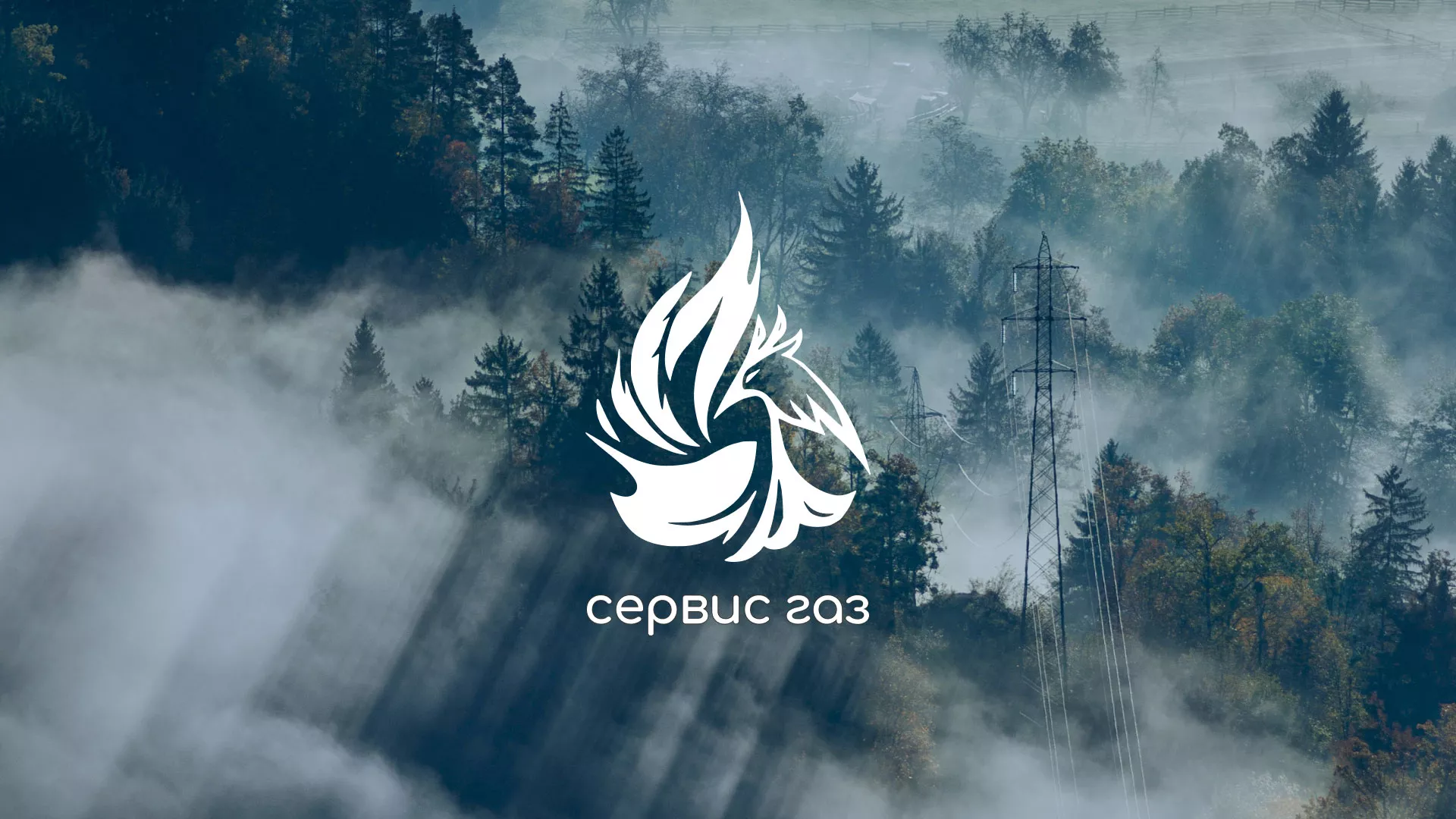 Создание сайта компании «Сервис газ» в Бокситогорске