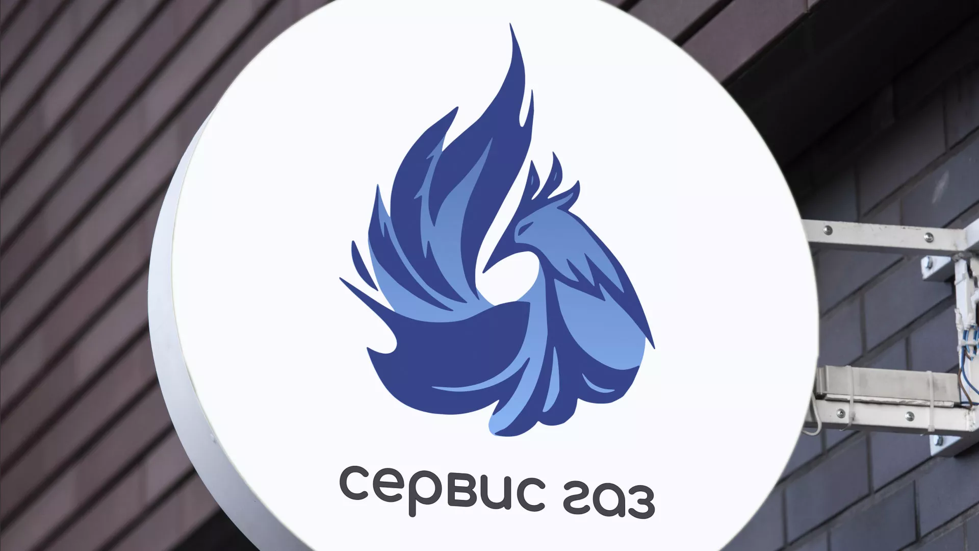 Создание логотипа «Сервис газ» в Бокситогорске