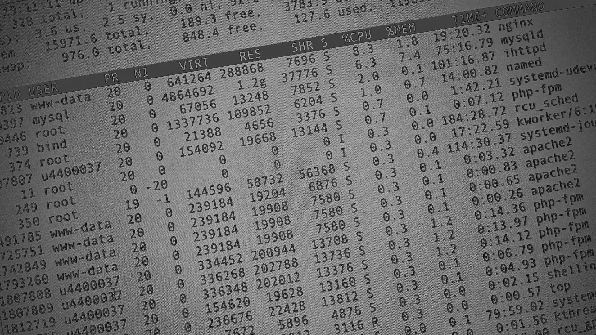 Настройка сервера в Бокситогорске